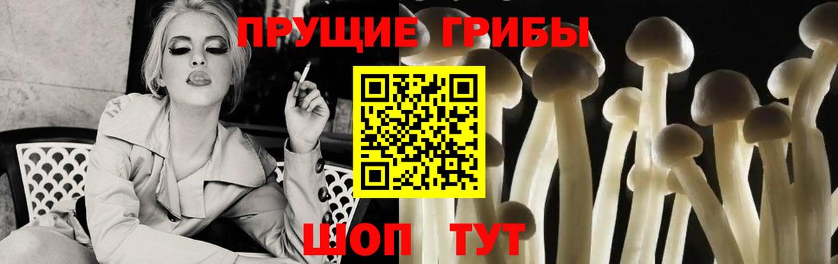 как найти закладки  Вход с VPN  Кемерово  Галлюциногенные грибы мицелий 