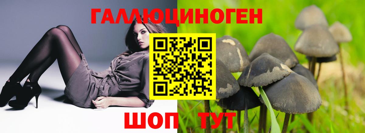 Псилоцибиновые грибы прущие грибы Кемерово